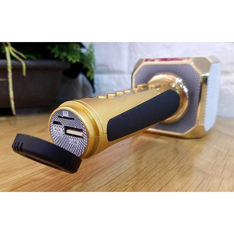 Micro Karaoke Kèm Loa Bluetooth Sd10