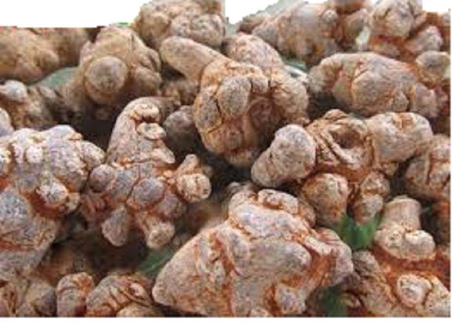 100 g Củ Tam Thất Bắc Khô