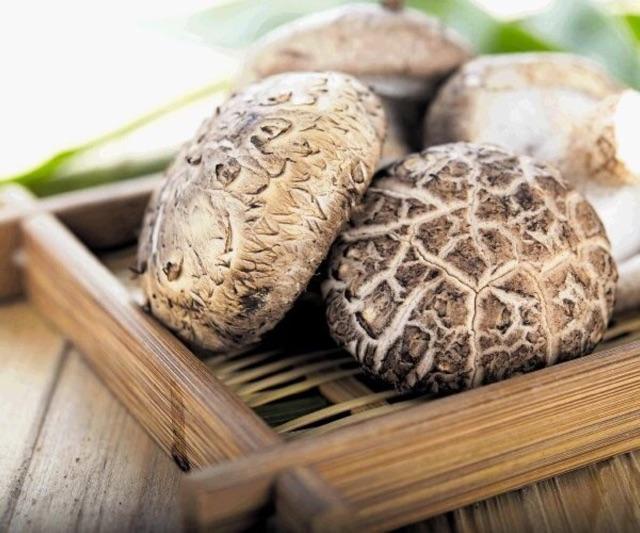Japanese Dong Co Bong Mushroom (1kg Vacuum-Packed)