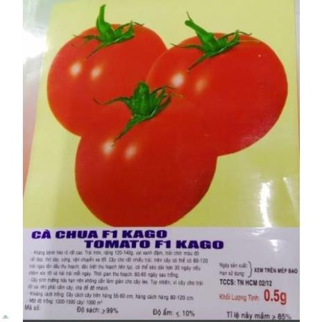 kkjiai uu e