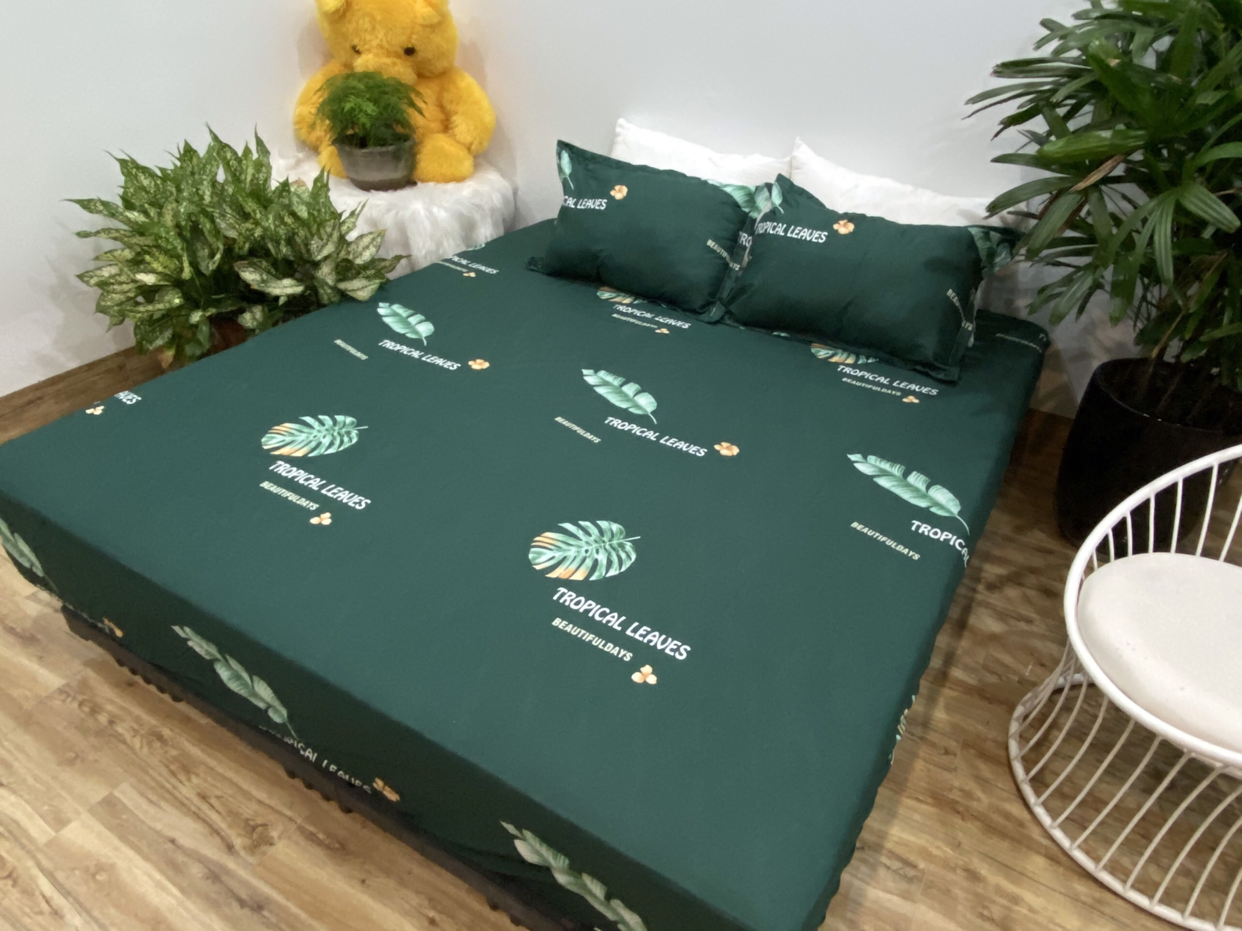 Set Ga Gối 3 Món (Gồm 1 Ga bo chun + 2 Vỏ Gối Nằm) Mẫu Lá Chuối CH219