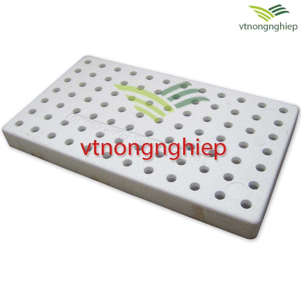 5 KHAY XỐP ƯƠM HẠT 84 LỖ