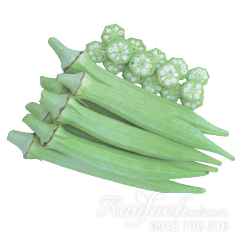 [HCM]Gói 20g hạt giống đậu bắp cao sản