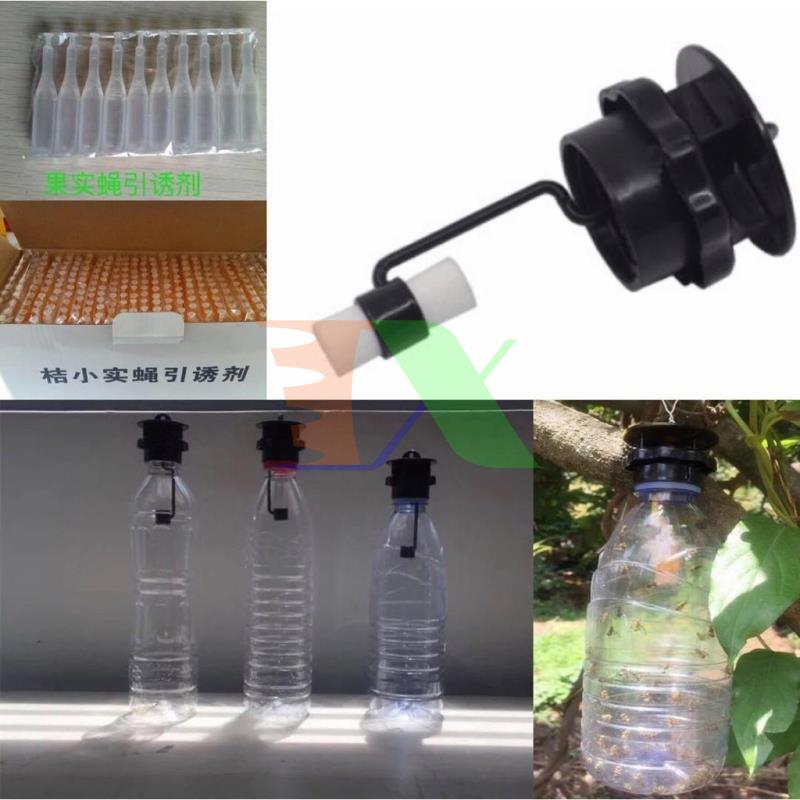 Combo 4 solution vial lure br-th, conductor example bee fly, vinegar, insect đục left