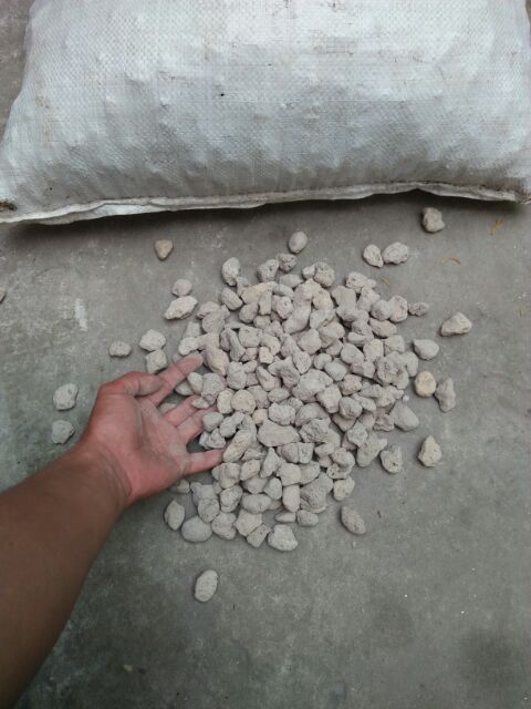 1kg đá núi lửa ( đá bọt) Indonesia Trồng Hoa Lan