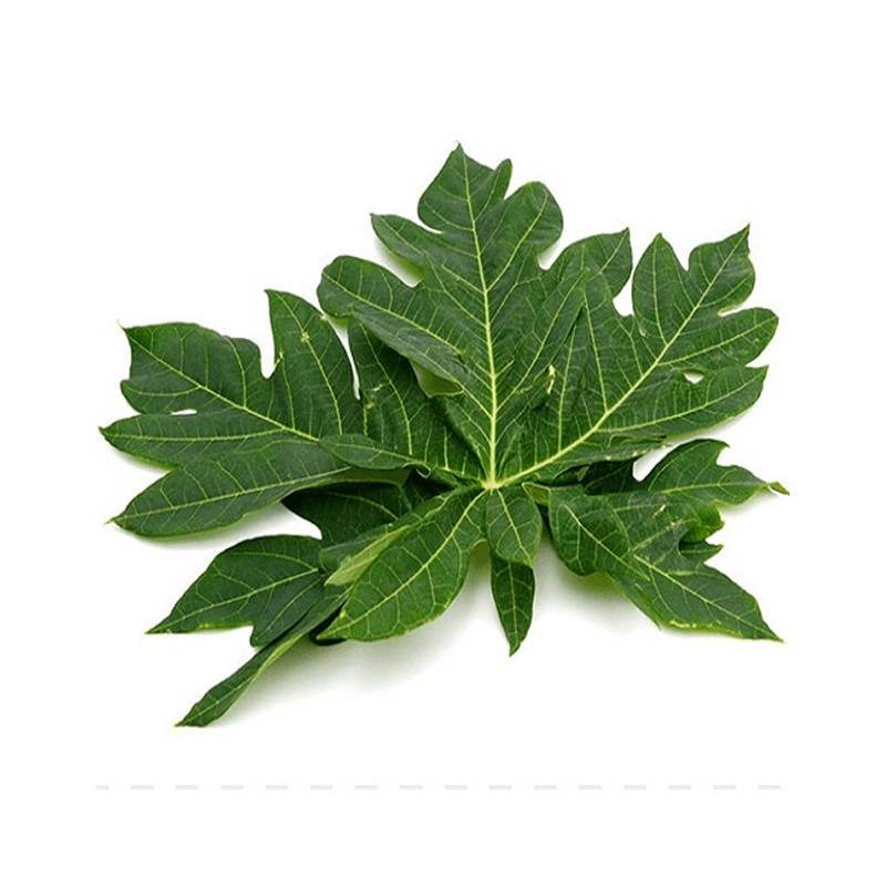 Lá Đu Đủ Đực khô [1KG] Hàng loại 1