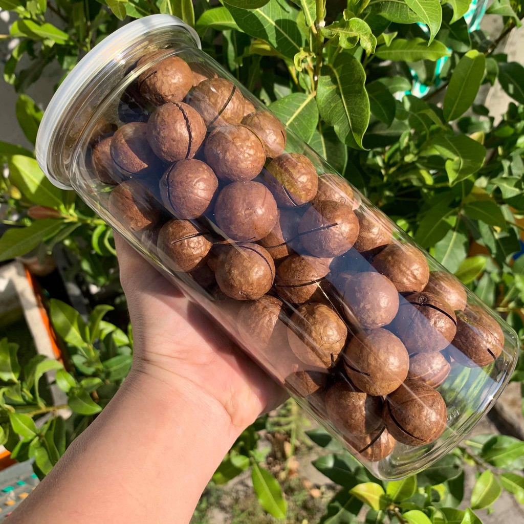 Hạt Mắc Ca 500gr - Đồ Ăn Vặt Giá Rẻ