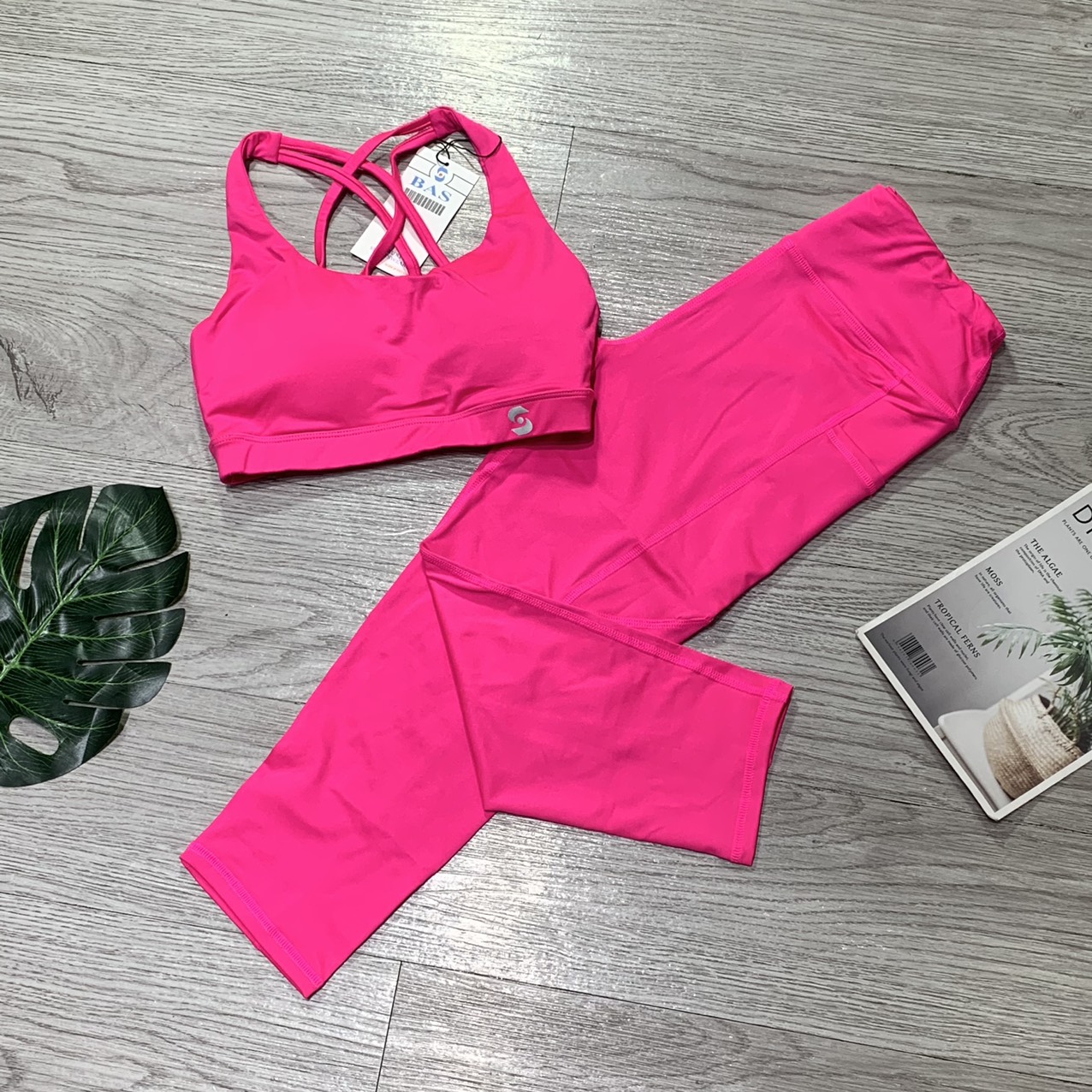 Đồ tập gym nữ, bộ thể thao áo bra quần lửng lưng cao Bin Sports BL013