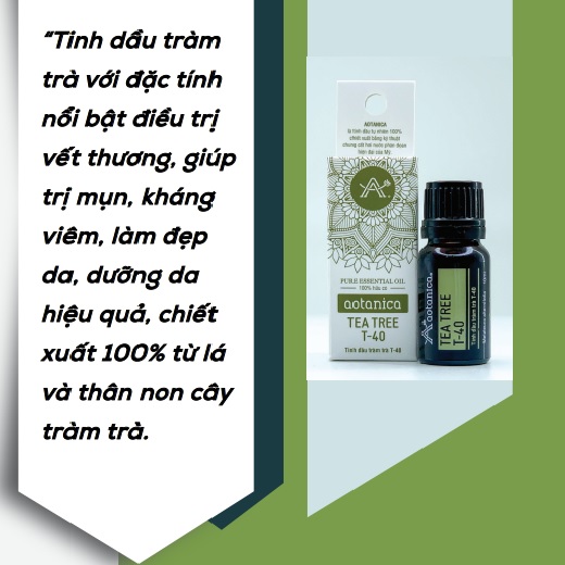 Tinh dầu tràm trà phân đoạn T40 Aotanica 10ml