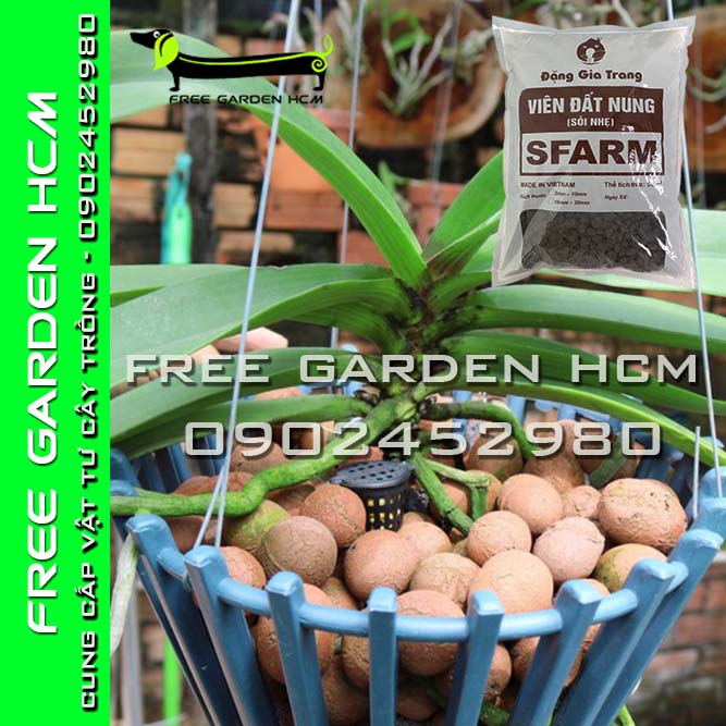 GÓI 5dm3 (3kg) ĐẤT NUNG SFARM/ SỎI NHẸ