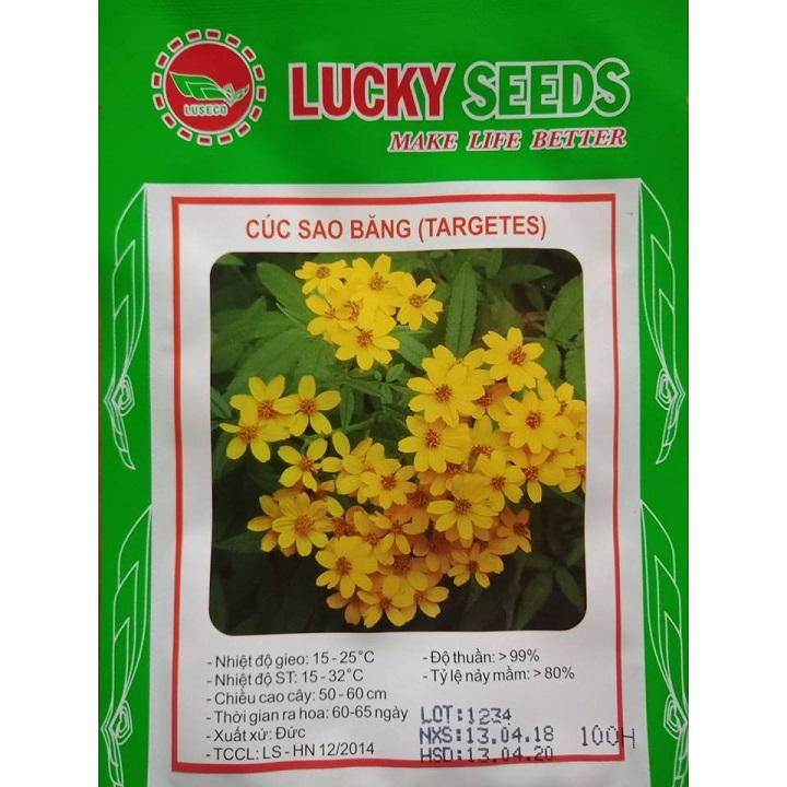 Hạt giống hoa cúc sao băng gói 100 hạt xuất xứ Đức
