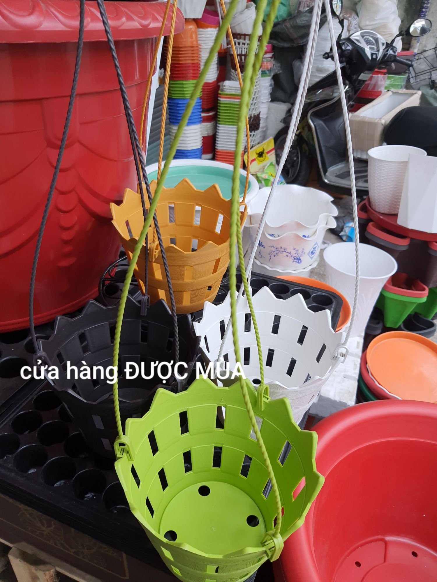combo 5 chậu treo trồng lan siêu đẹp kèm móc phi 18cm.