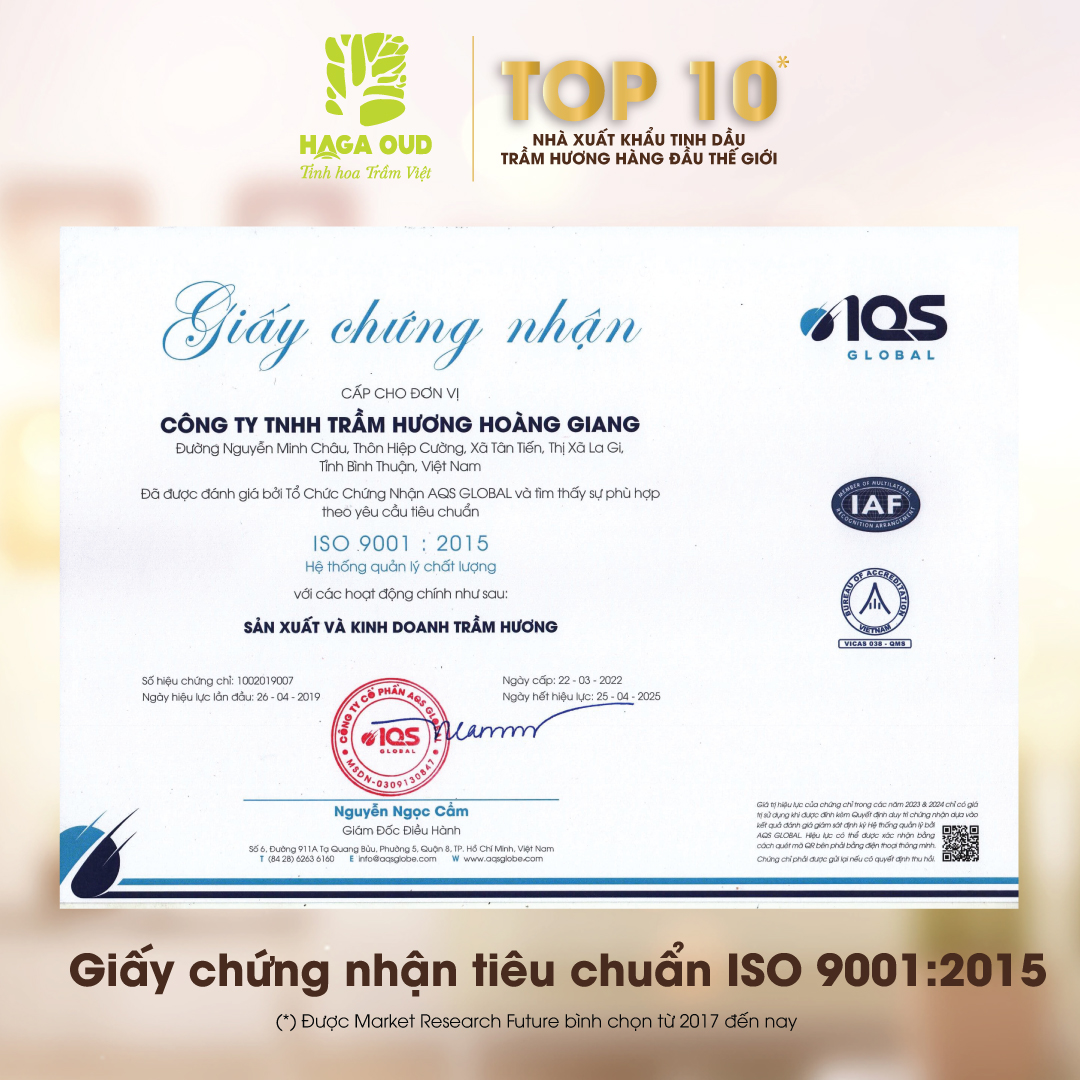 Nhang Trầm HAGA 40cm 3 sạch 100 cây