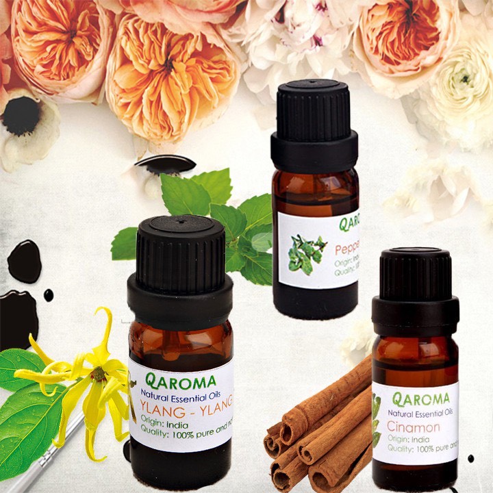 [HCM]Combo  3 Chai Tinh Dầu Tràm Trà Sả Java Quế (10ml)