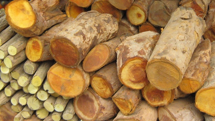 cây mật gấu khô thái lát 1kg (cây lá đắng)