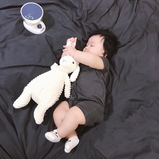 Cừu, Cún bông ngộ nghĩnh cho bé