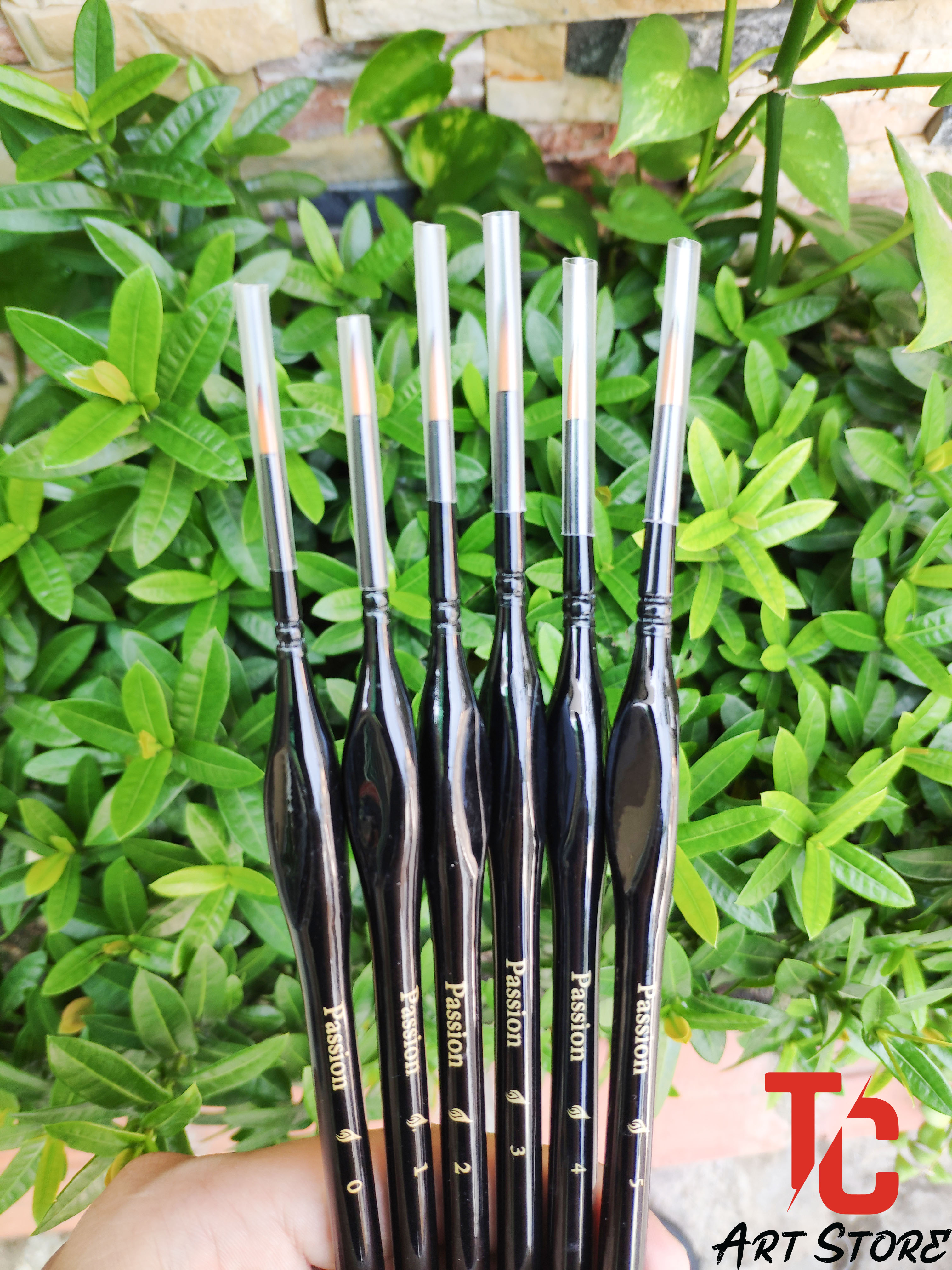 [TC Art Store] CỌ PASSION ARTIST BRUSH