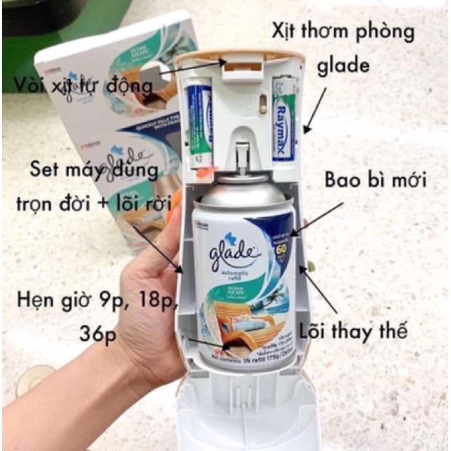 1 Bình(Lõi) Xịt Phòng Tự Động GLADE Thailand (9 mùi hương)