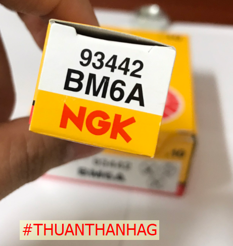 [Ảnh thật] Bugi NGK máy 2 thì Xăng pha Nhớt