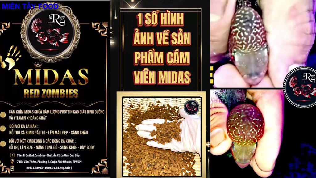 Thức Ăn Cá La Hán - Cám Chìm Midas - Dành Cho Mọi Size Cá Lớn Nhỏ