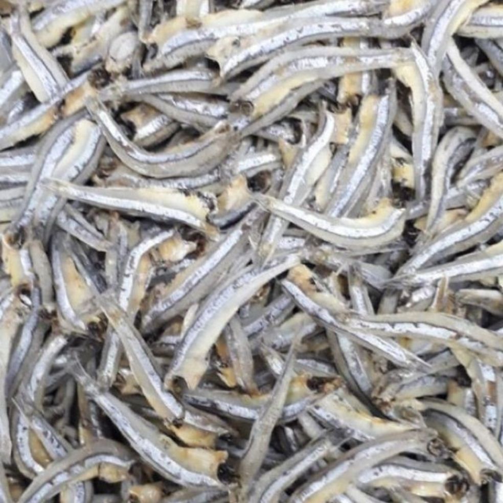 1kg CÁ CƠM XANH ngon