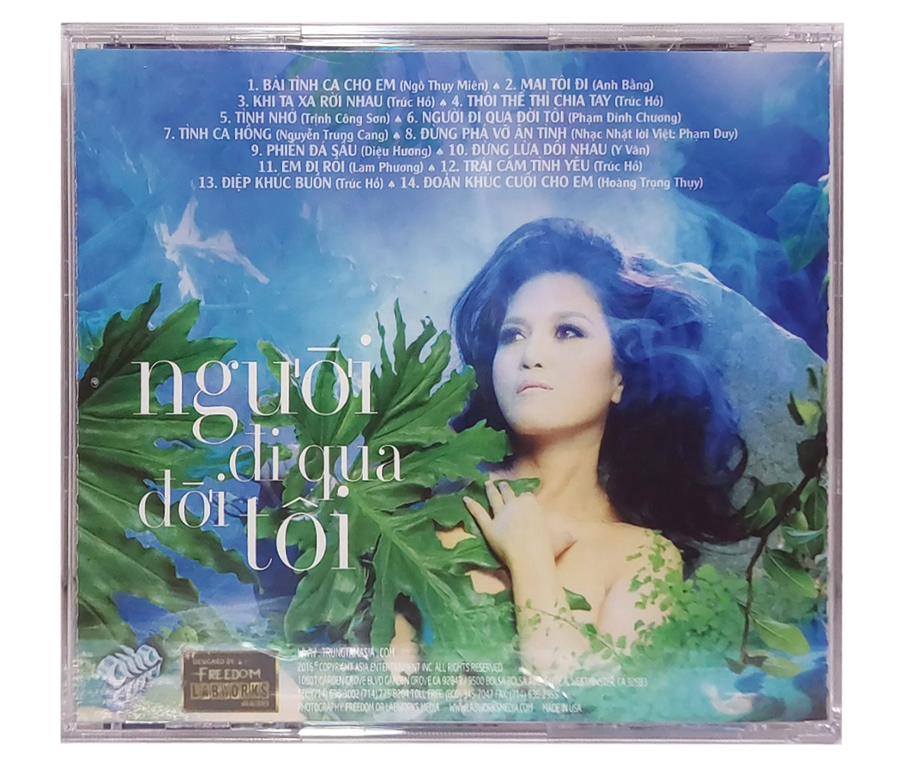 Lâm Thúy Vân - Người Đi Qua Đời Tôi