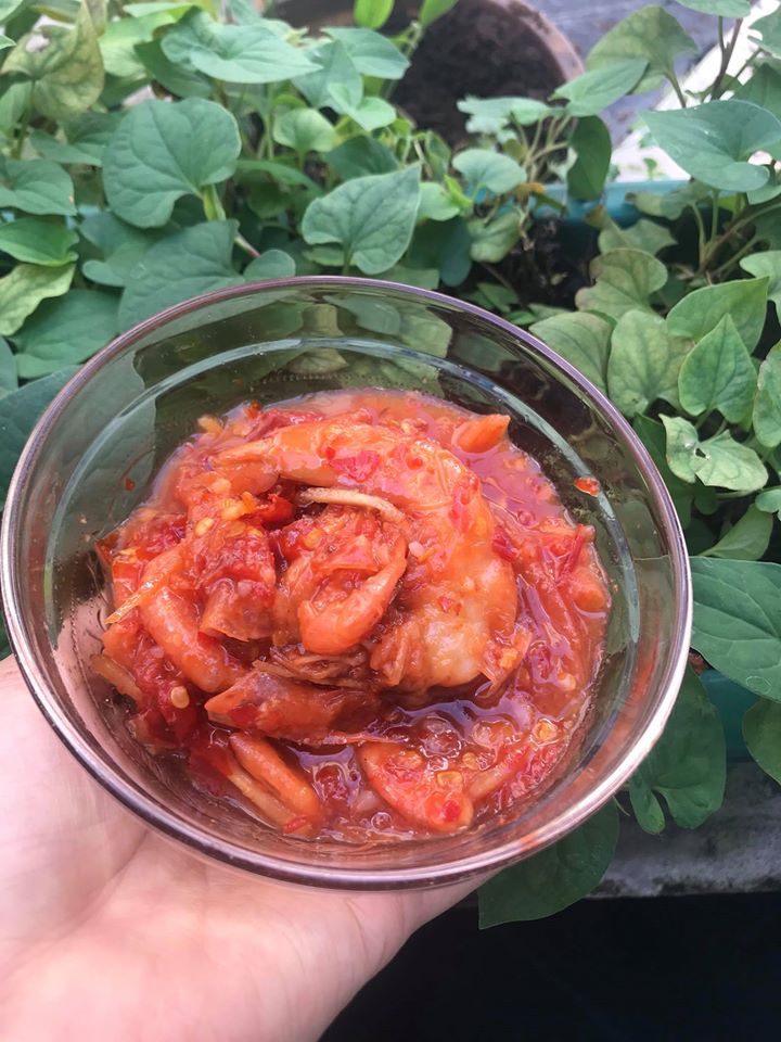 MẮM TÔM CHUA HỦ 1kg