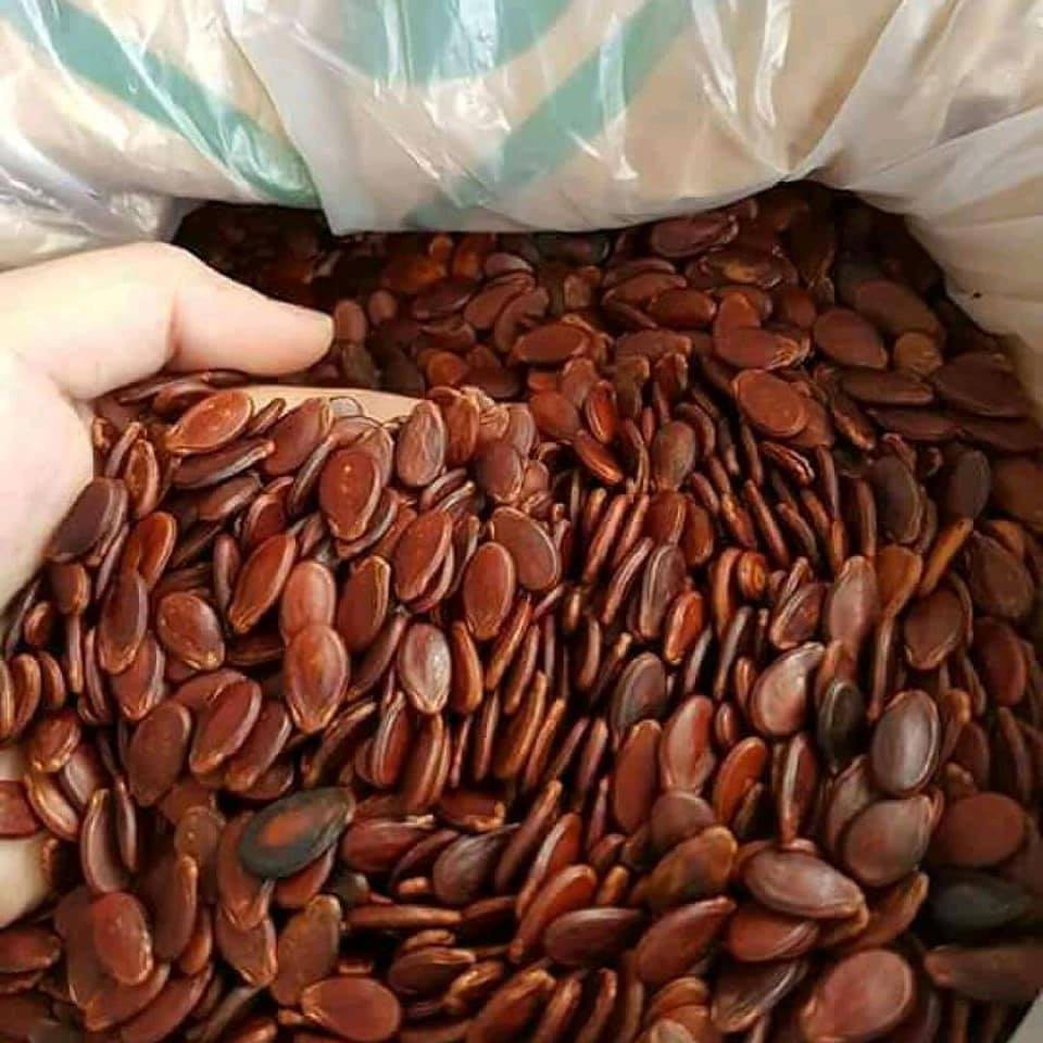 [LOẠI 1] Hạt dưa rang củi Trường Đạt 500g, KHÔNG HÓA CHẤT Gugo Mart