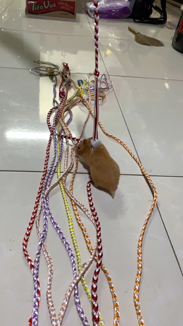 Dây dắt hamster có chuông
