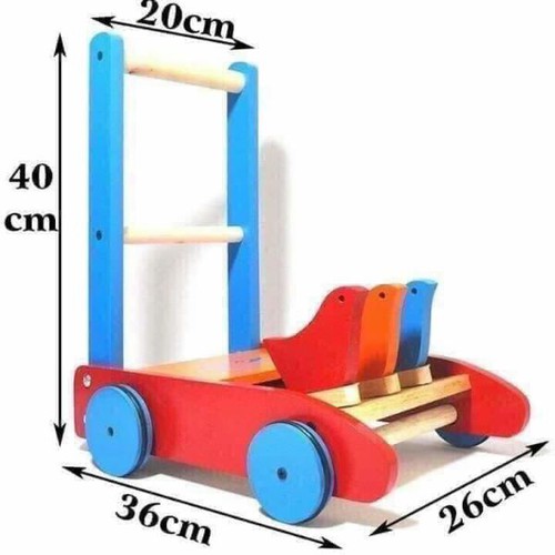Xe tập đi 3 con chim