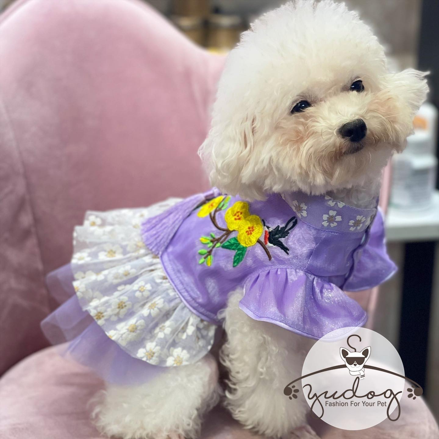 Đầm tết hoa mai cho chó mèo yudog