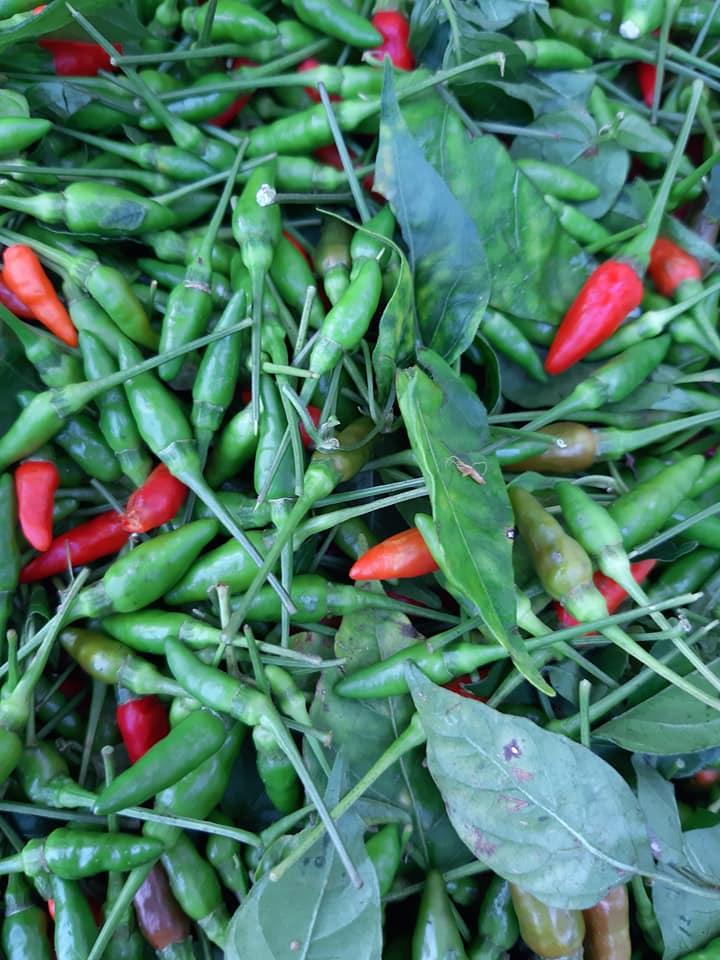 2 hủ ớt xiêm muối