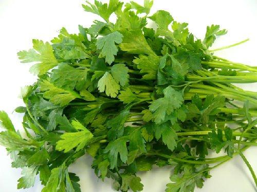 [Mới] - Hạt giống rau mùi tây