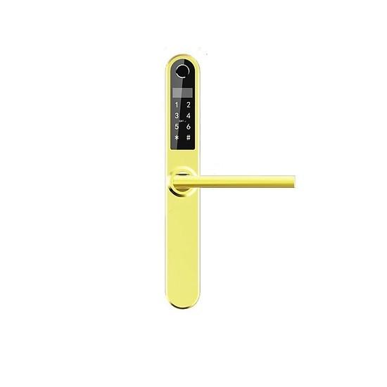 Khóa cửa xingfa Viro Smartlock 5in1 VR-31A