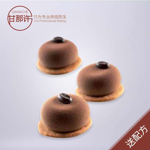 Gan Đó Xu SI3164 Ý Silikomart 15 THẬM CHÍ Phẳng Loại Khuôn Bánh Bánh Mousse Khuôn Gửi Công Thức