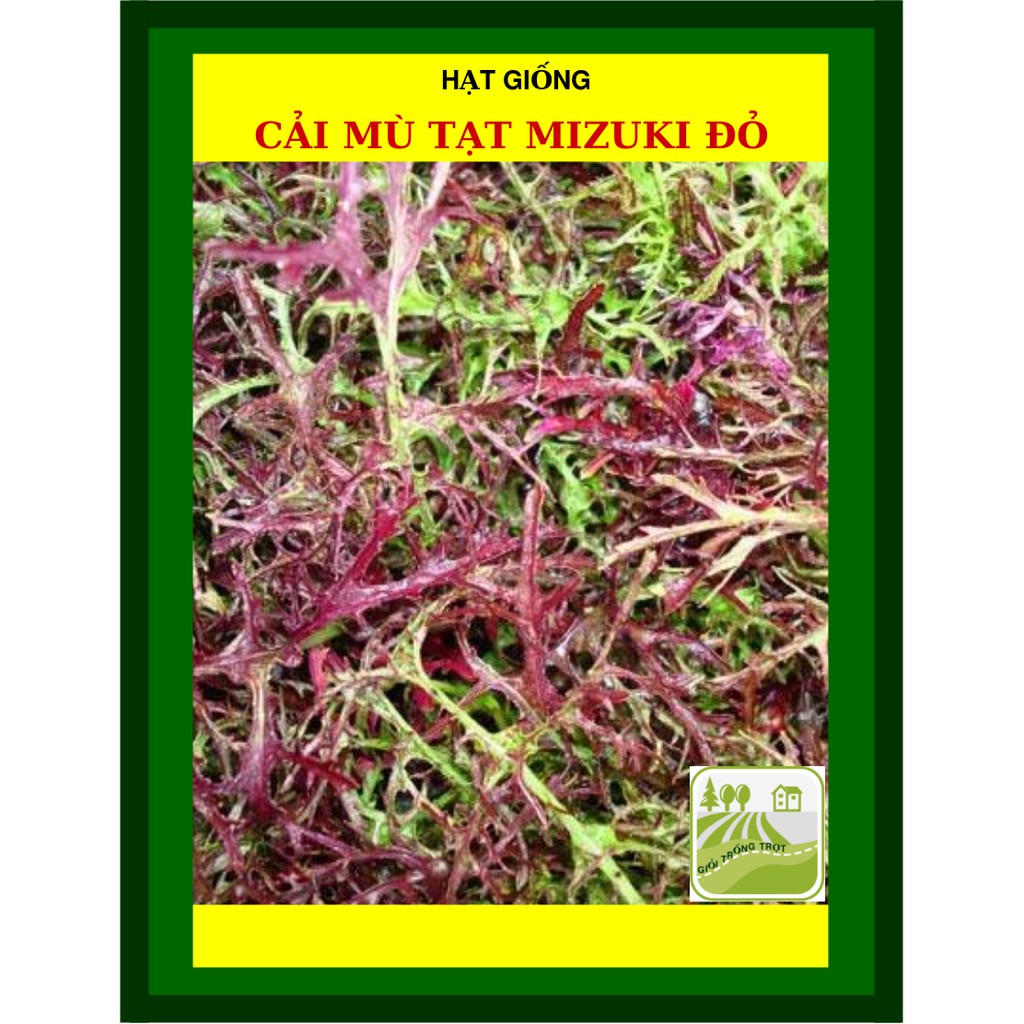 Hạt Giống Cải Mù Tạt Mizuki 10 Loại 10 Gram