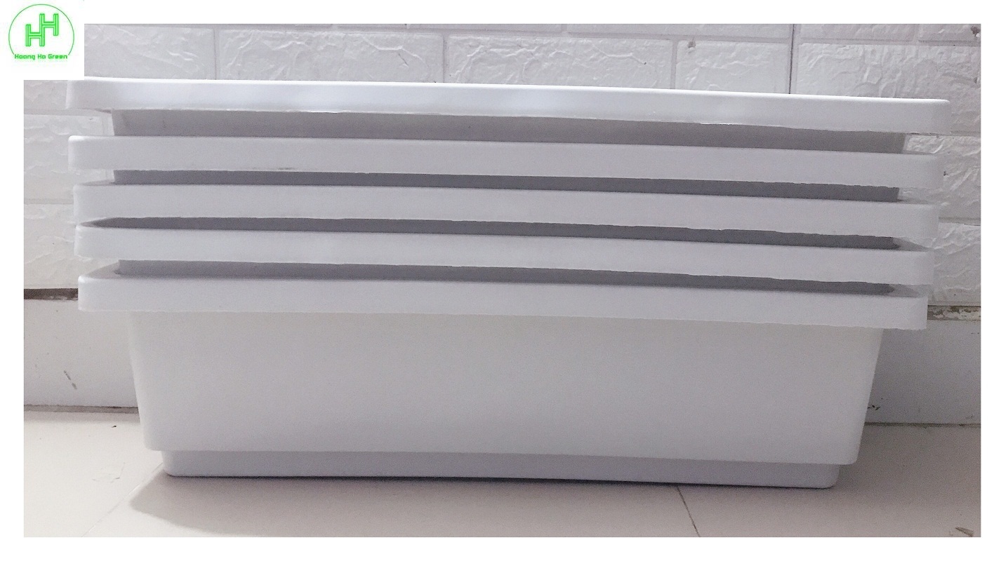 5 Chậu/ Khay/ Máng Nhựa Trồng Rau, Trồng Hoa, Cây Cảnh Kích Thước 60X20X16Cm - Màu Trắng