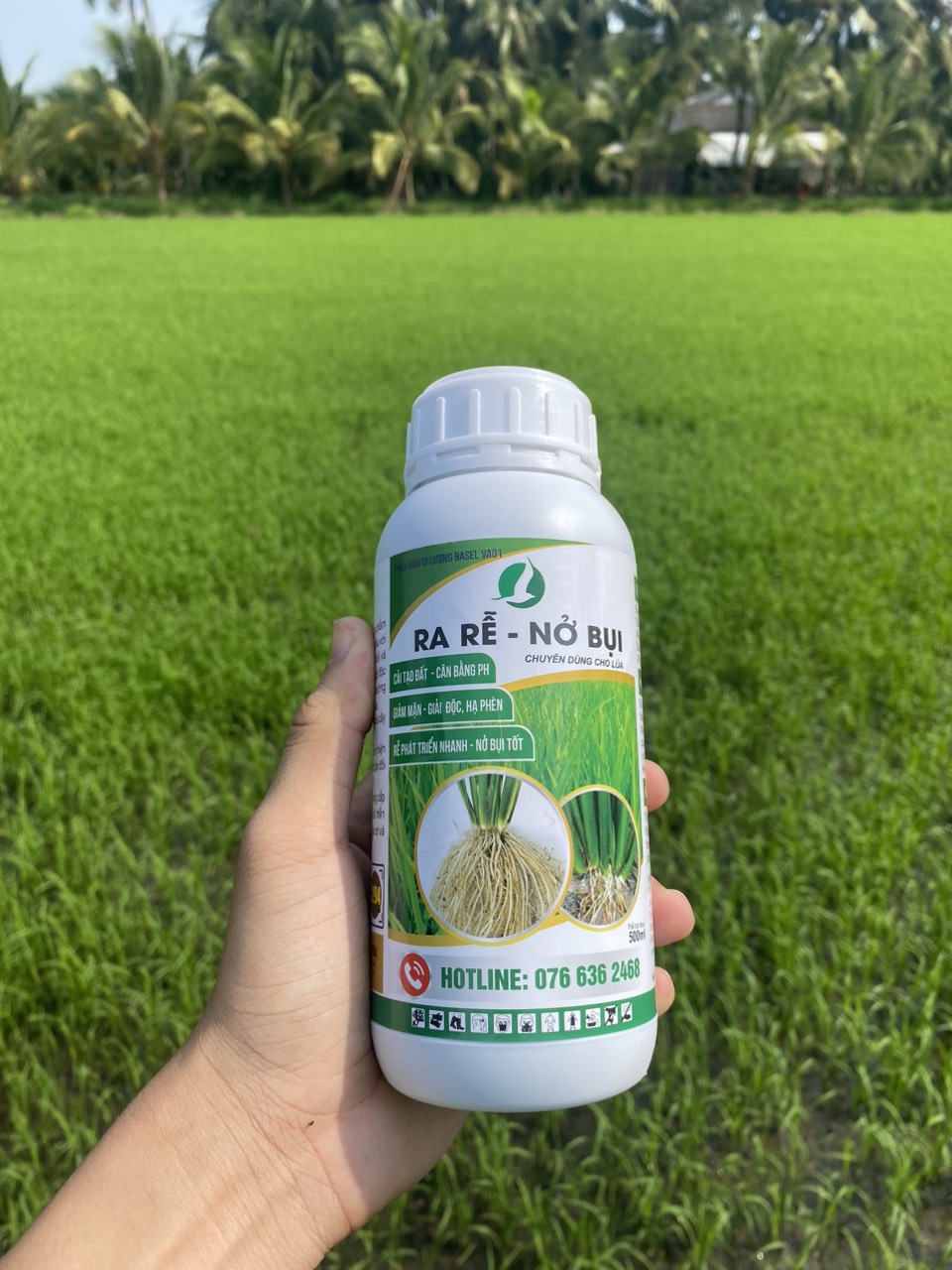 PHÂN BÓN RA RỄ NỞ BỤI CHUYÊN DÀNH CHO CÂY LÚA 500ML