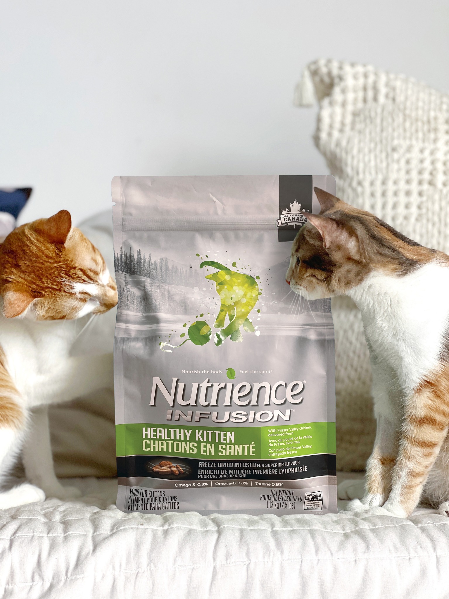Hạt mèo NUTRIENCE KITTEN (bao nguyên seal) cho mèo con