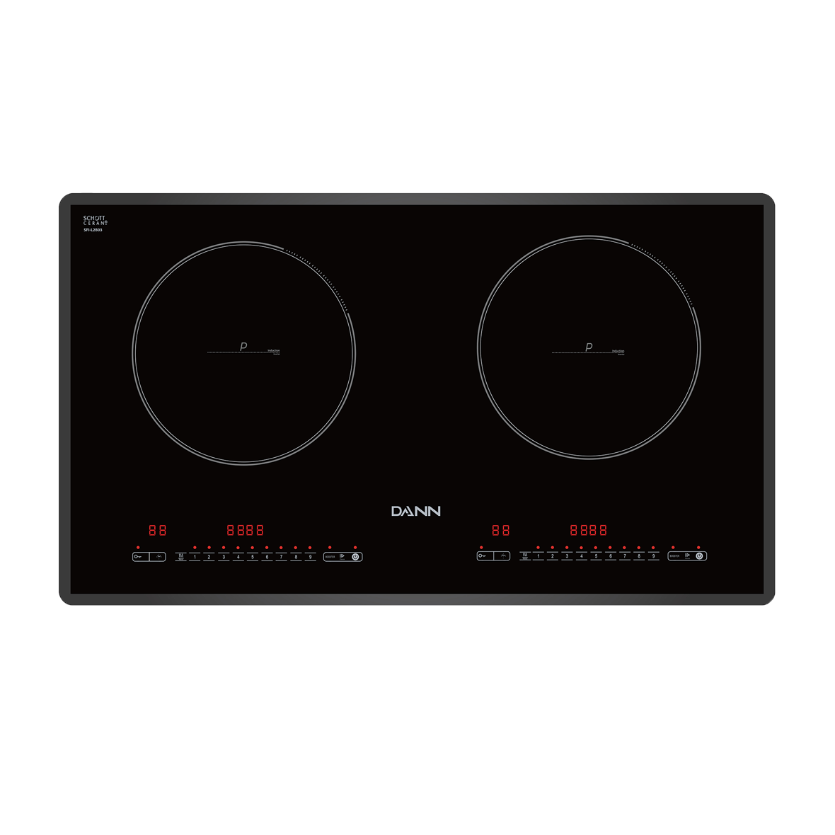 Bếp từ Dann DS-IB828 Plus
