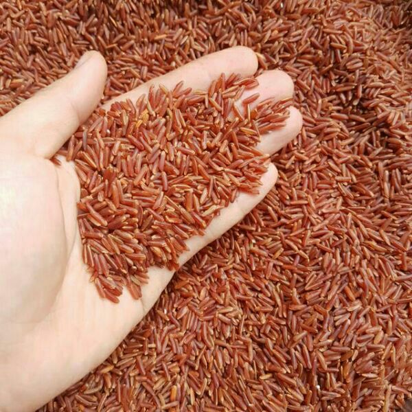2kg gạo lứt huyết rồng