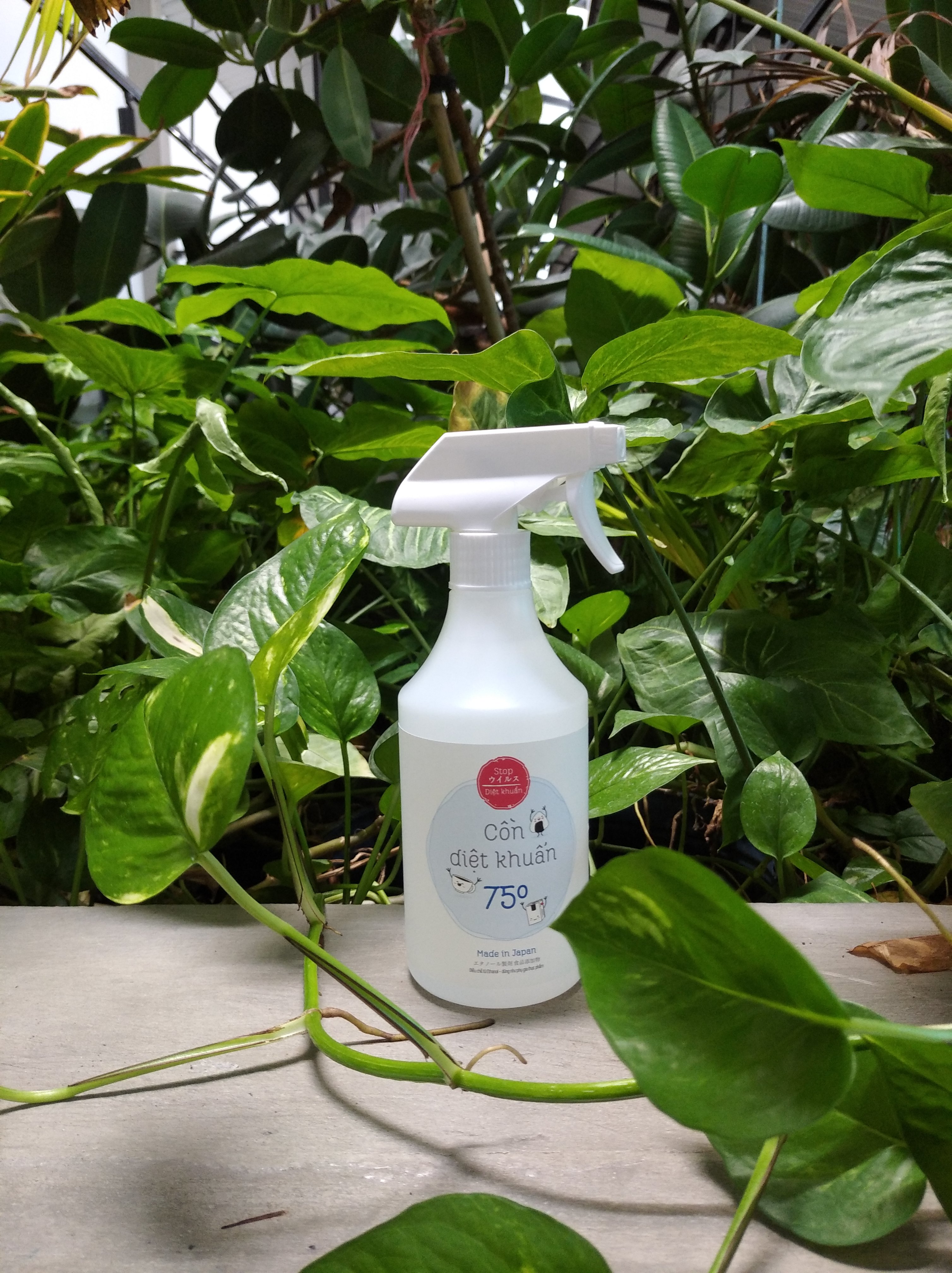 Cồn Thực Phẩm - Made in Japan