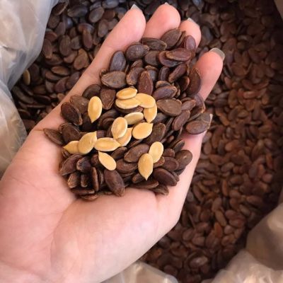 Hạt dưa sạch rang củi Thái Sơn loại 1