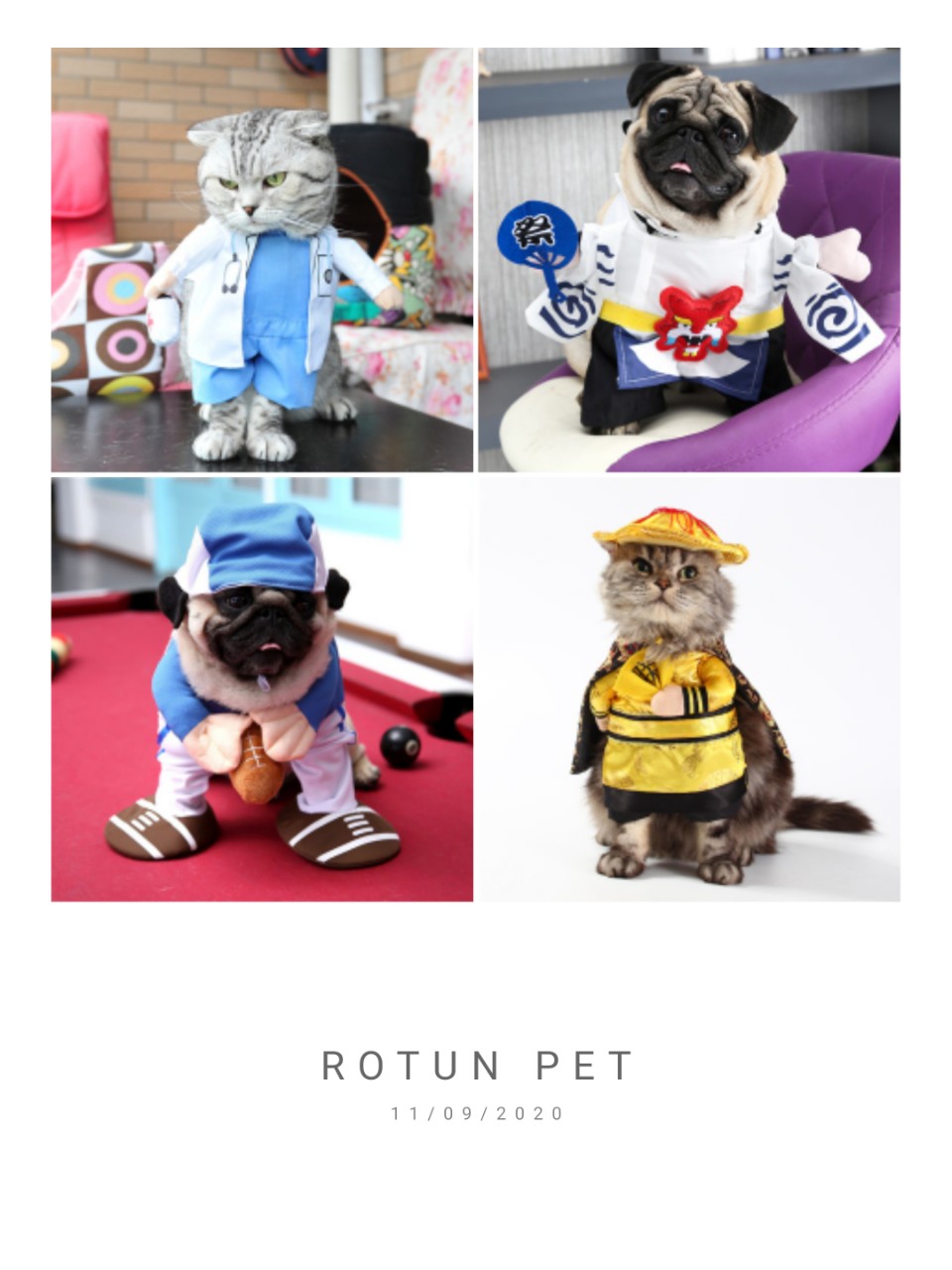 Áo cosplay cho chó mèo S, M, L (Inbox chọn mẫu)