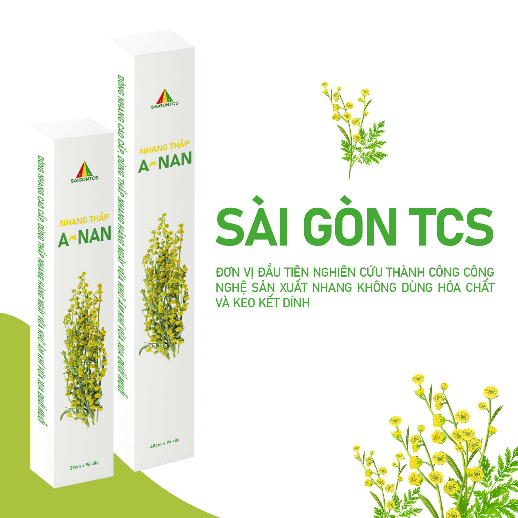 Nhang thắp ANAN 40cm (Thanh hao hoa vàng - Ngũ gia bì)- Sài Gòn TCS