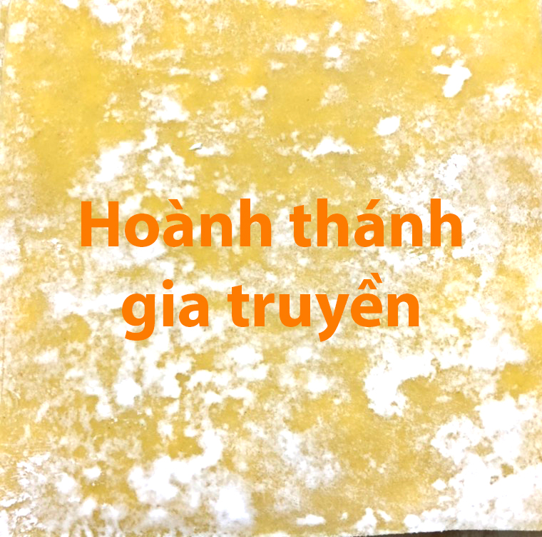 Hoành Thánh gia truyền