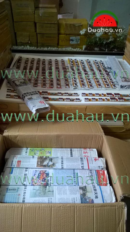Mạch Lịch vạn niên - Không có khung treo