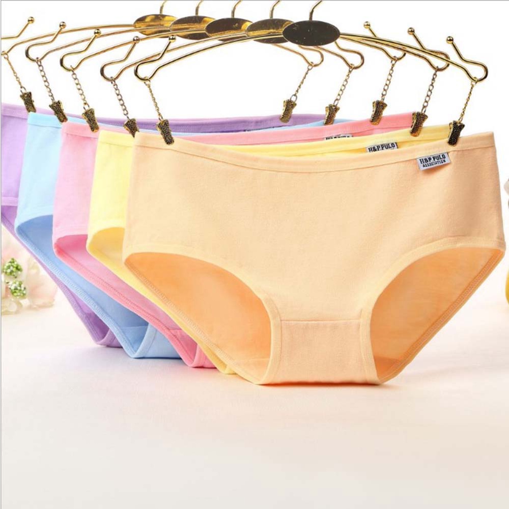 Set 5 Quần Lót Cotton Xuất Mỹ [brastore]