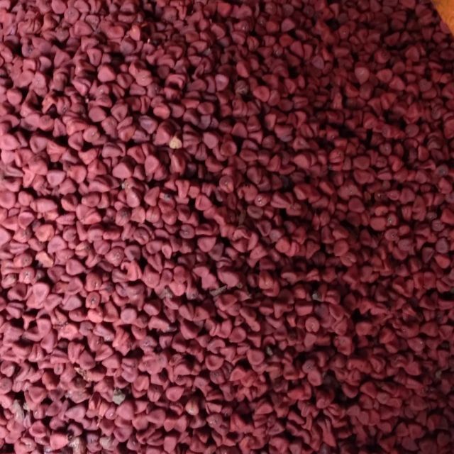 Hạt màu - Hạt cà ri - Hạt điều 300gr