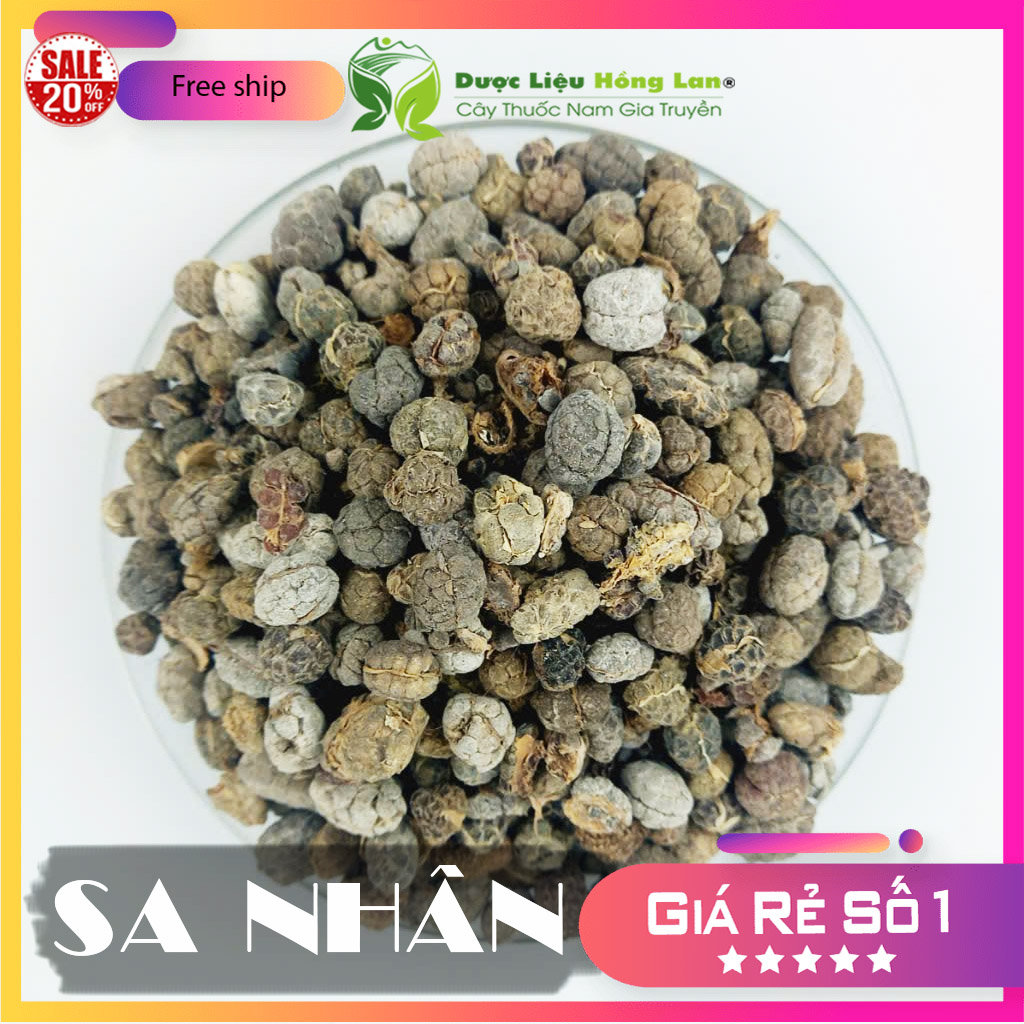 ✅[Thượng hạng] 100G Sa Nhân hạt khô sạch loại 1